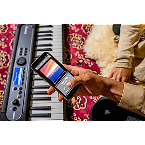 Sintezatorius Casio LK-S450 Digital Synthesizer 61 Black