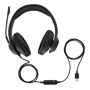 Ausinės / ausinės „Targus AEH102GL“ laidinės galvos juostos skambučiai / muzika A tipo USB, juoda