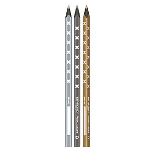 Keyroad spalvoti pieštukai, 6 metalo spalvos