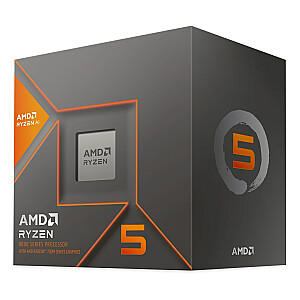 AMD Ryzen 5 8600G