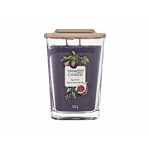 Fig & Clove Elevation Collection 552g