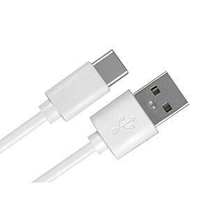 Kabelis PS USB - USB Type-C 2 m