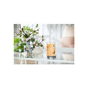 Стакан для мороженого Yankee Candle Signature Mango 567г