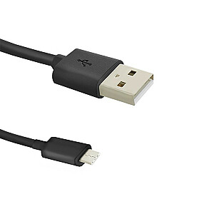 12W įkroviklis | 5V | 2.4A | USB + USB tipo C laidas
