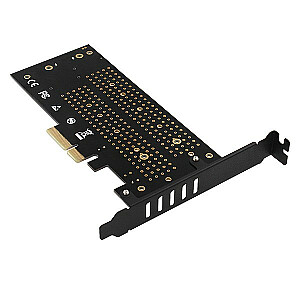 PCEM2-DC vidinis PCIe x4 adapteris, 1x M.2 NVMe M raktas + 1x SATA B raktas, aušintuvas, SP ir LP + aušintuvas