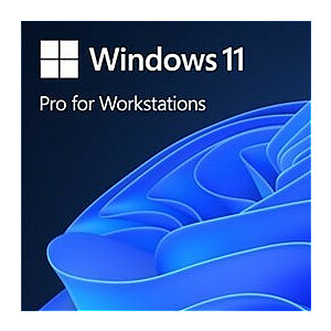 OEM Win Pro, skirtas Wrkstns 11 PL x64 HZV-00117 Pakeičia: P/N HZV-00070