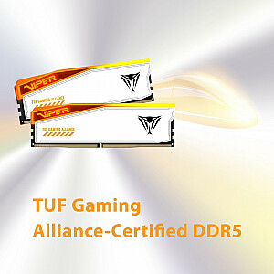 Atmintis DDR5 Viper Elite 5 RGB TUF 48 GB/6600 (2x24 GB) CL34