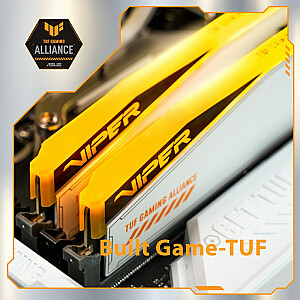 Atmintis DDR5 Viper Elite 5 RGB TUF 48 GB/6600 (2x24 GB) CL34