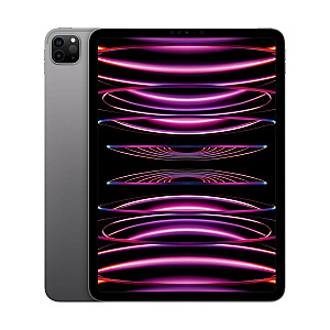 Apple iPad Pro 11 colių M2 Wi-Fi 512 GB "space grey"