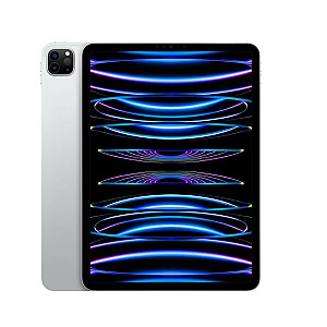 iPad Pro 11" Wi-Fi + mobilusis 2TB sidabrinis