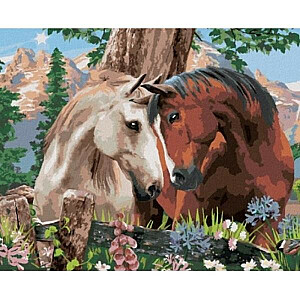 Алмазная мозаика - Влюбленные лошади