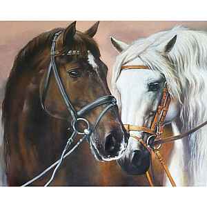 Deimantinė mozaika - Du arkliai