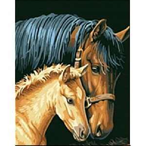 Алмазная мозаика - Лошадь с жеребенком.