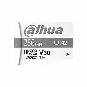 Atminties kortelė DAHUA TF-P100/256G 256 GB