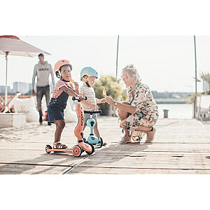 Scoot & Ride Highwaykick 1 2w1 сталь 96271