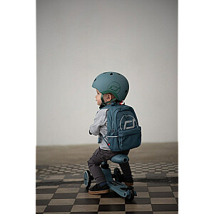 Scoot & Ride Highwaykick 1 2w1 сталь 96271
