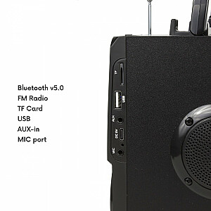 Audiocore AC730 Bluetooth radijo USB garsiakalbis