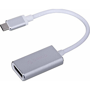 Orico USB-C į USB DisplayPort adapteris, pilkas (XC-103-SV-BP)