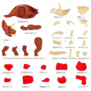 Triceratops dinozaurų skeleto surinkimo rinkinys 6+ CHT2818818