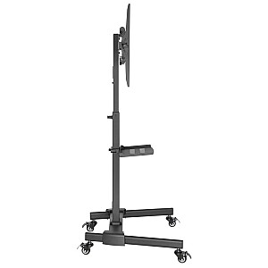 Mobilus TV stovas 32-55 colių 35kg AV lentyna