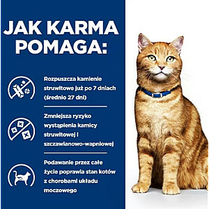 Hill's PD C/D Urinary Care - sausas kačių maistas - 3kg