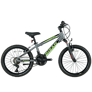 Vaikiškas dviratis Bisan 20 KDX2600 Pilka/žalia (PR10010392)