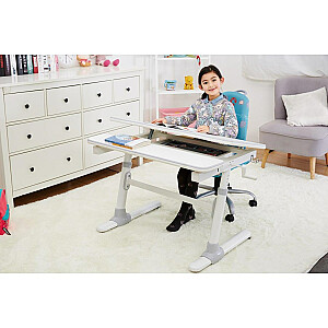 Эргономичный детский стол Ergo Office с регулируемой высотой, серый, макс. 100 кг, ER-417 2cz