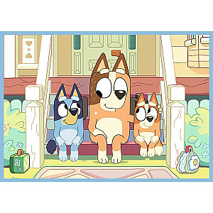 Dėlionė 4in1 Bluey and the world