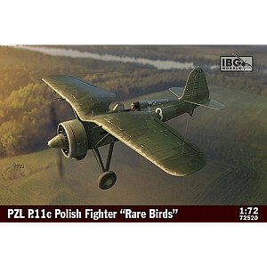 Plastikinis PZL P.11c Lenkijos naikintuvo modelis retiems paukščiams 1/72