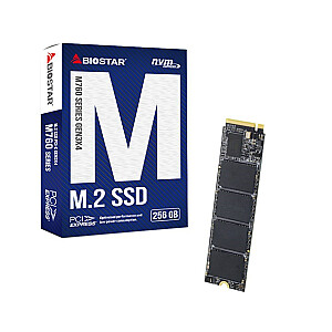 SSD diskas Biostar M760 256GB