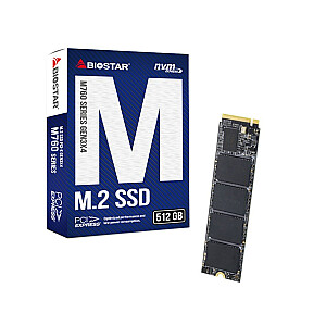 Diskas SSD Biostar M760 512GB