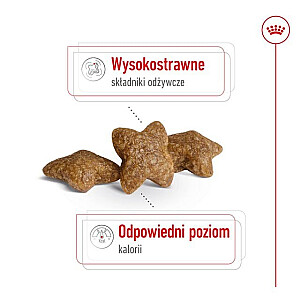 ROYAL CANIN Adult Mini S - сухой корм для собак - 8кг