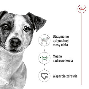 ROYAL CANIN Adult Mini S - сухой корм для собак - 8кг