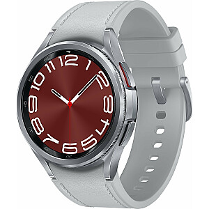 Išmanusis laikrodis Samsung Galaxy Watch 6 Classic nerūdijančio plieno 43 mm LTE Szary (SM-R955FZSAEUE)