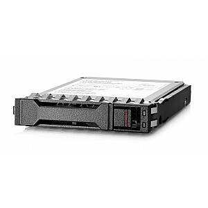 Diskas 480 GB SATA IN SFF Business Critical MV SSD P40502-B21