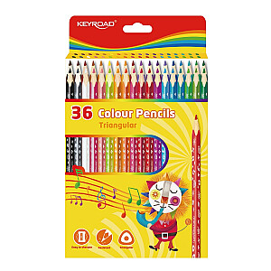 Keyroad spalvoti pieštukai, 36 spalvos
