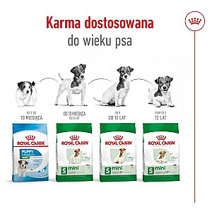 Royal Canin SHN Mini suaugusiems 4 kg