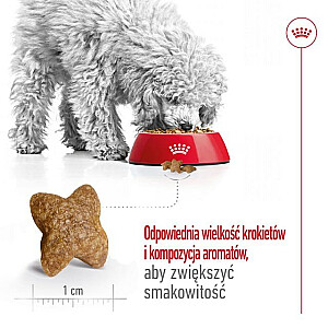 Royal Canin SHN Mini suaugusiems 4 kg