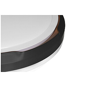 LED lubinis šviestuvas Activejet AJE-PETRUS 24 W
