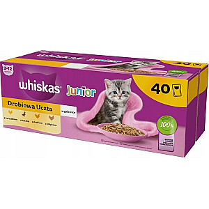 WHISKAS Junior Poultry в желе - влажный корм для кошек - 40 x 85г