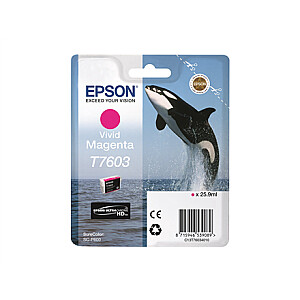 Epson T7603 Ink, Vivid Magenta | Epson