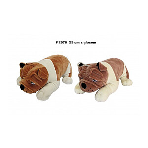 Pliušinis šuo 25 cm buldogas skirtingas (P2978) 148278