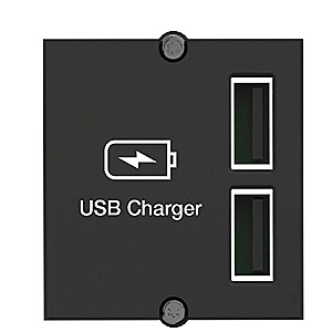 Пользовательский модуль Bachmann, двойное зарядное устройство USB, зарядное устройство ((917.224))