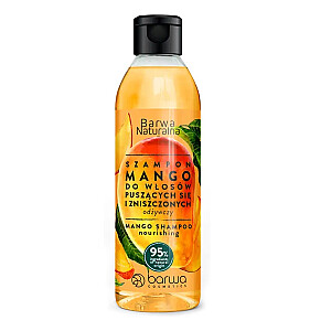 BARWA Maitinamasis plaukų šampūnas Natural Mango 300ml
