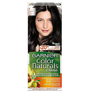 Plaukų dažai GARNIER Color Naturals 1 Black