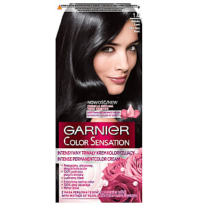 Plaukų dažai GARNIER Color Sensation 1.0 Deep Onyx Black