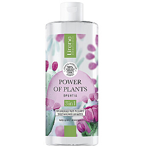 LIRENE Power of Plants glotninamasis micelinis skystis Opuntia 400ml