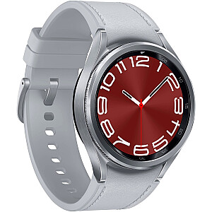 SAMSUNG Galaxy Watch6 Classic (R950), išmanusis laikrodis (sidabrinis, 43 mm)