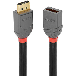 „Lindy DisplayPort 1.4 Anthra Line“ prailginimo kabelis, nuo kištuko iki moteriško (juodas, 1 metras)