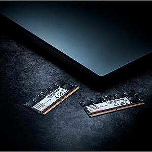 ADATA DDR5 – 16 GB – 5600 – CL – 46, viena RAM (juoda, AD5S560016G-S, „Premier Tray“)